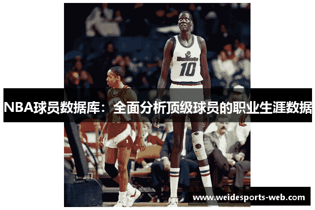 NBA球员数据库：全面分析顶级球员的职业生涯数据