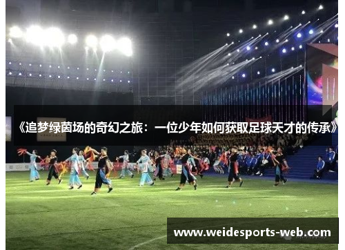 《追梦绿茵场的奇幻之旅：一位少年如何获取足球天才的传承》